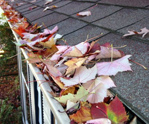 Gutters & Siding Gutters & Siding